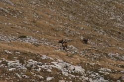 2011-04-24_Regina-F-Rau_Brunnstein-Spitze (215).JPG